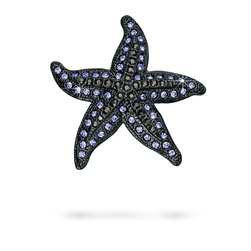 

	Морская звезда брошь
	
 Морская звезда Флоранж